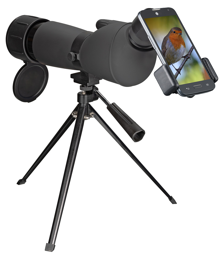 LEV-60196_2.jpg