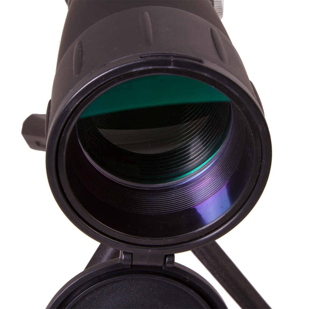 LEV-60196_3.jpg