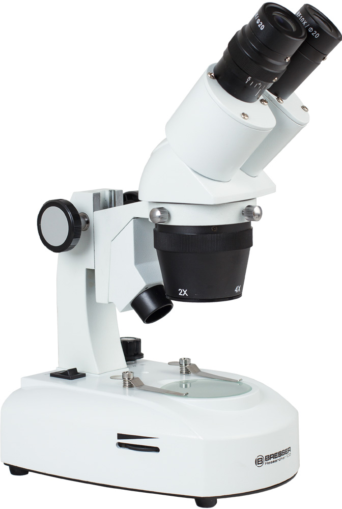 LEV-64646_1.jpg