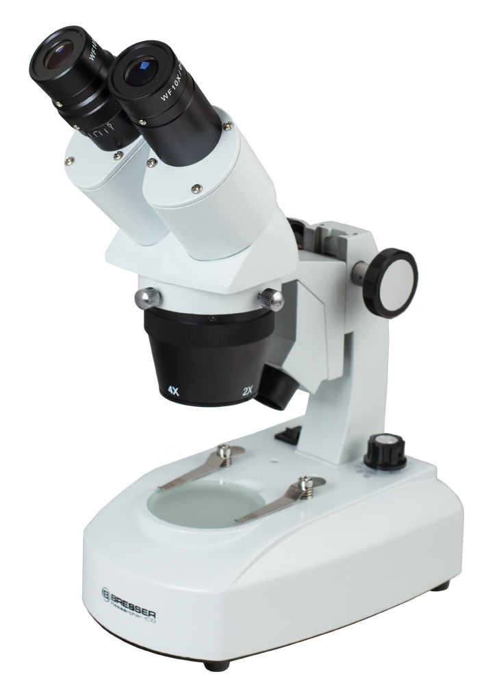 LEV-64646_2.jpg