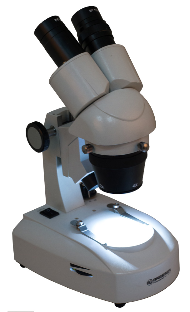 LEV-64646_3.jpg
