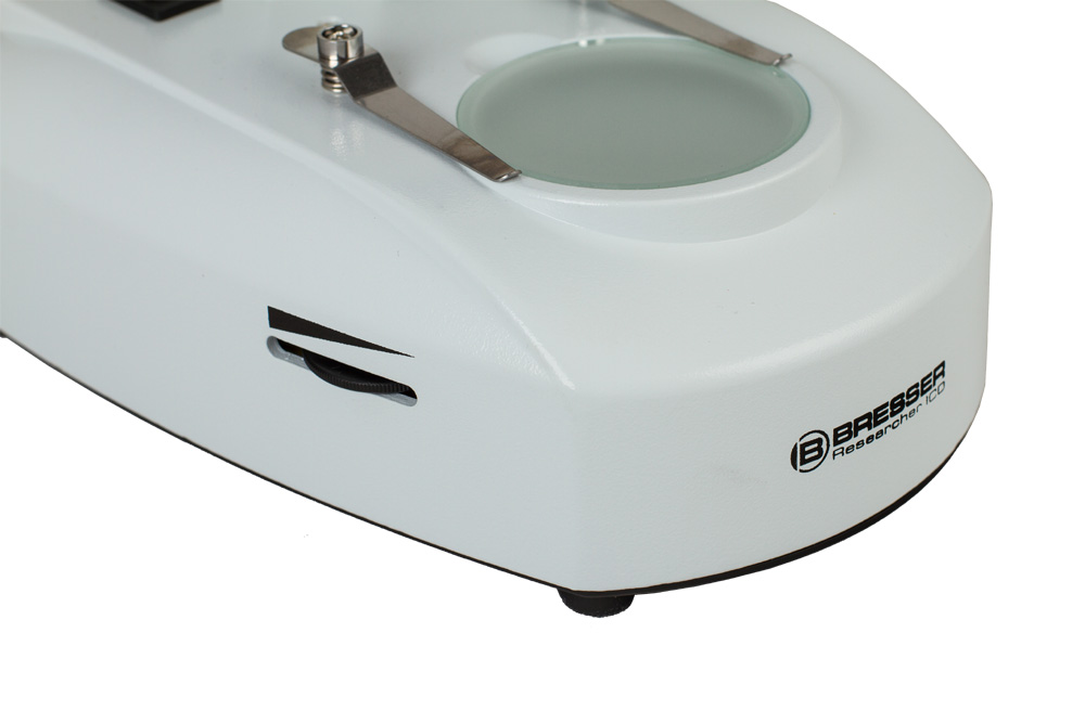 LEV-64646_5.jpg