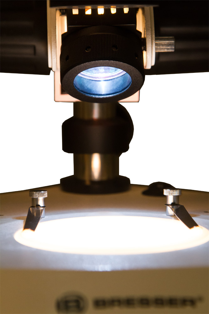 LEV-70516_2.jpg