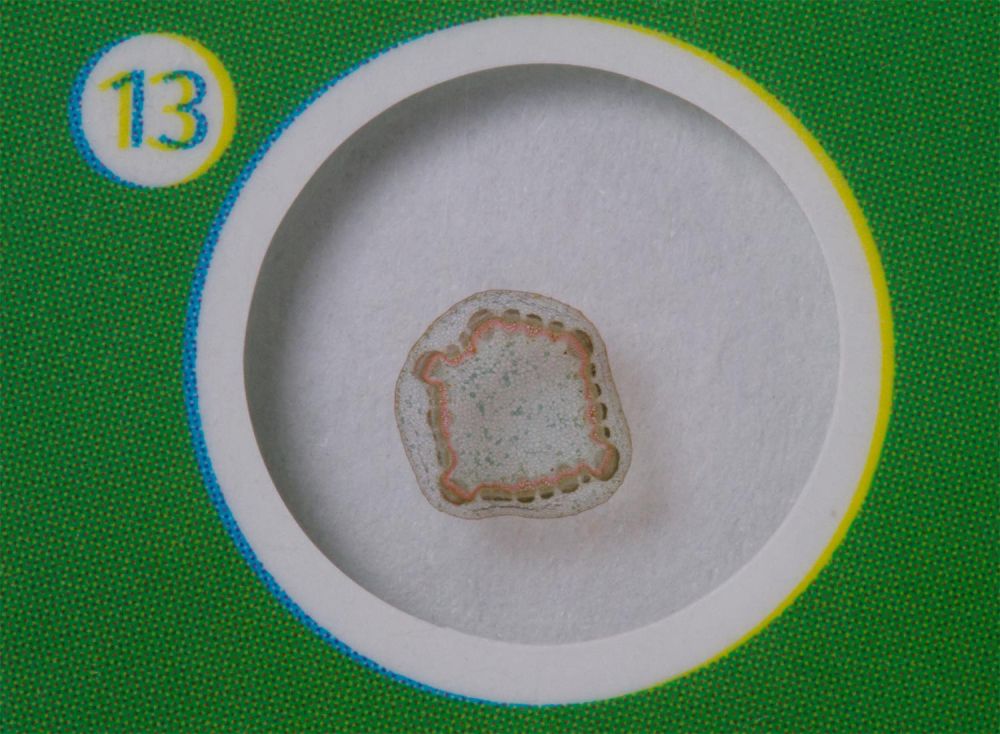 LEV-72869_4.jpg