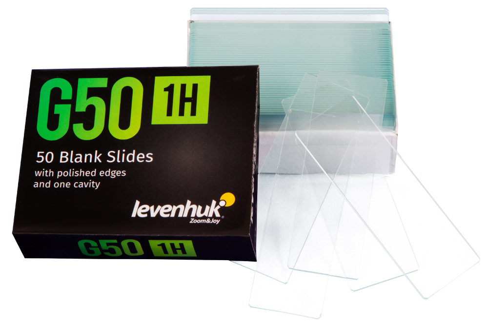 LEV-73808_2.jpg