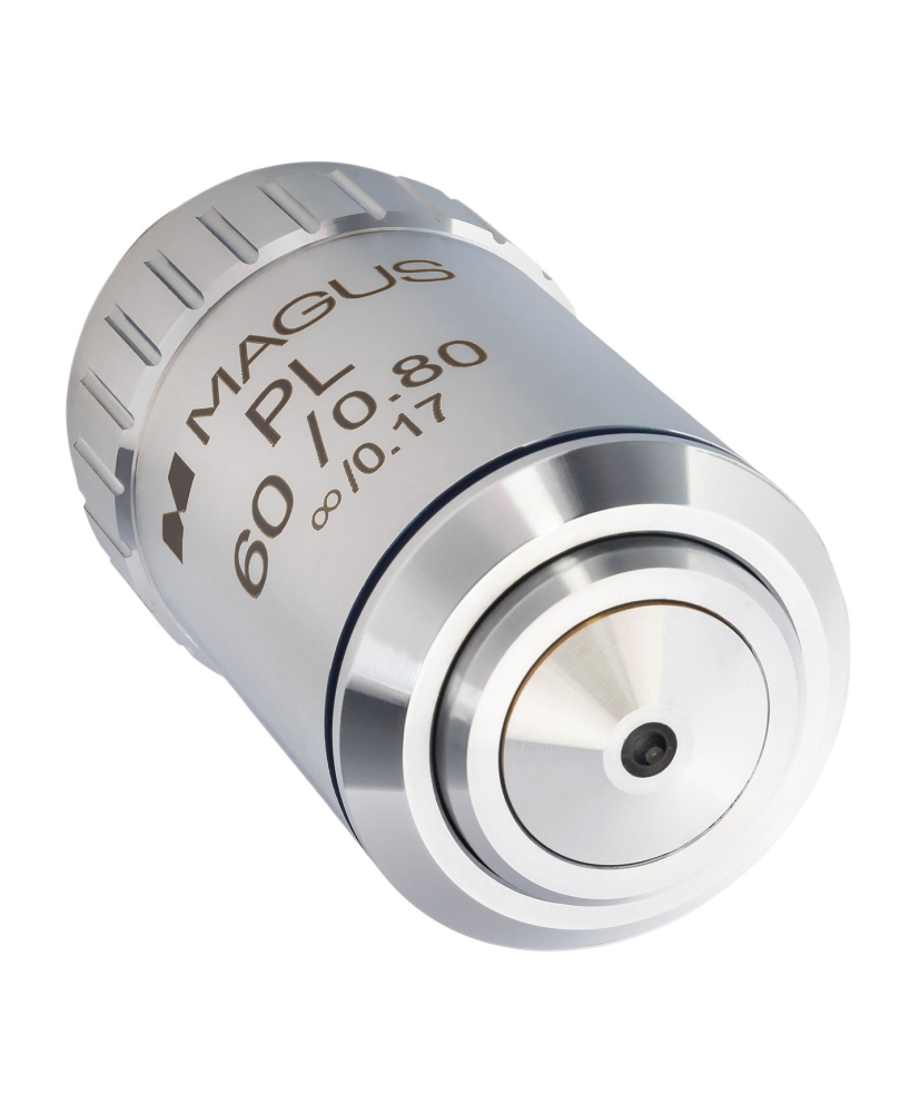LEV-82914_3.jpg