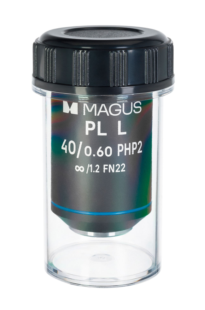 LEV-83439_2.jpg
