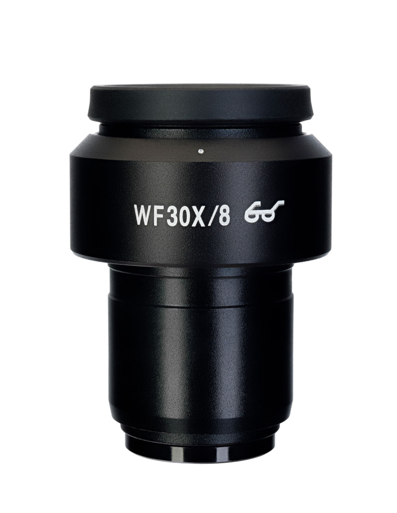 LEV-83503_4.jpg