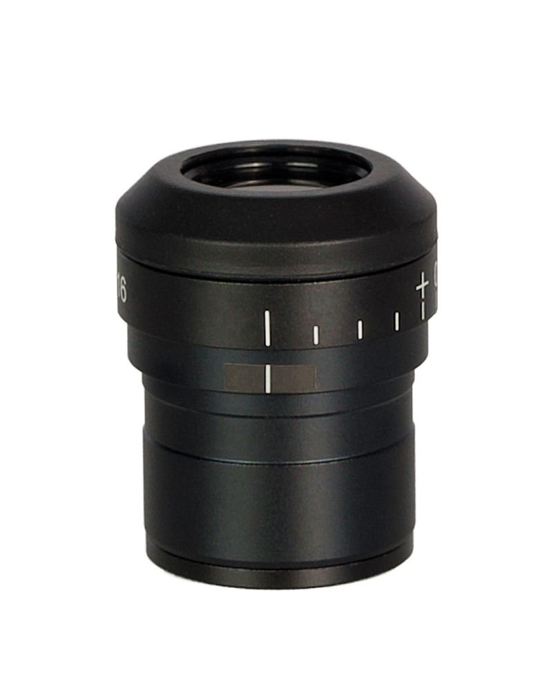 LEV-85084_4.jpg