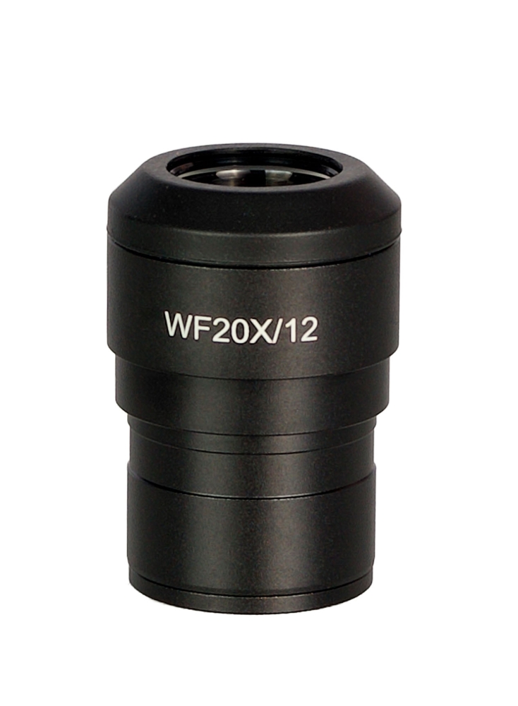 LEV-85085_1.jpg