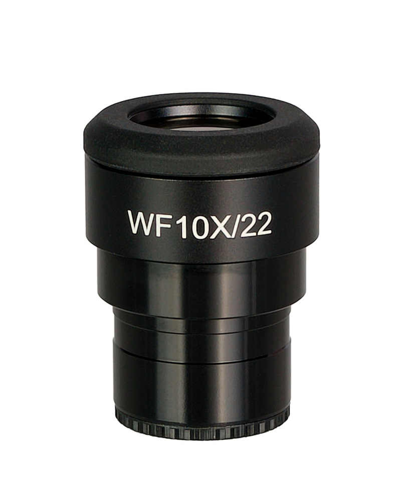 LEV-85087_1.jpg