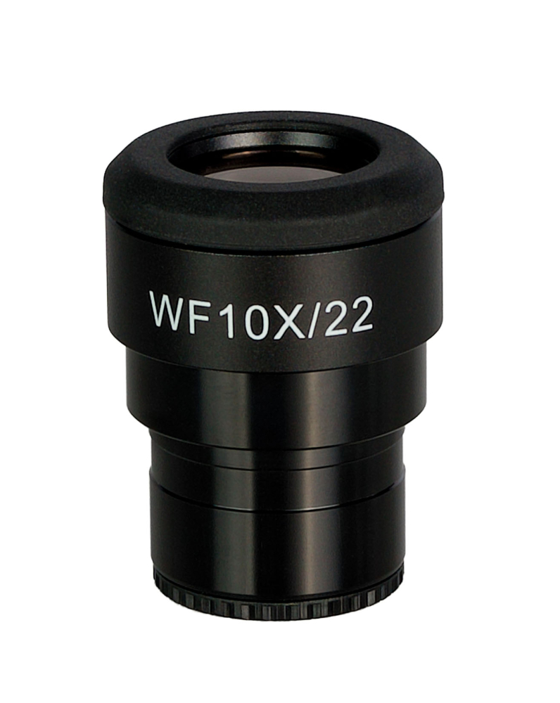 LEV-85088_1.jpg