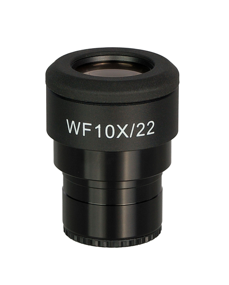 LEV-85089_1.jpg