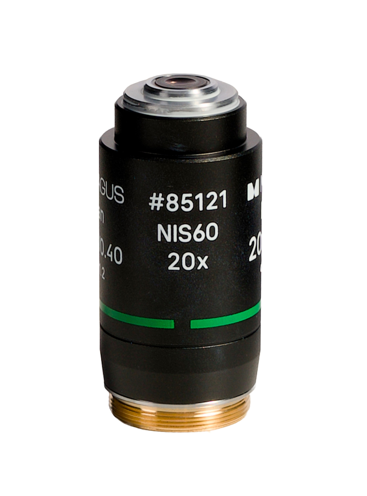 LEV-85121_2.jpg