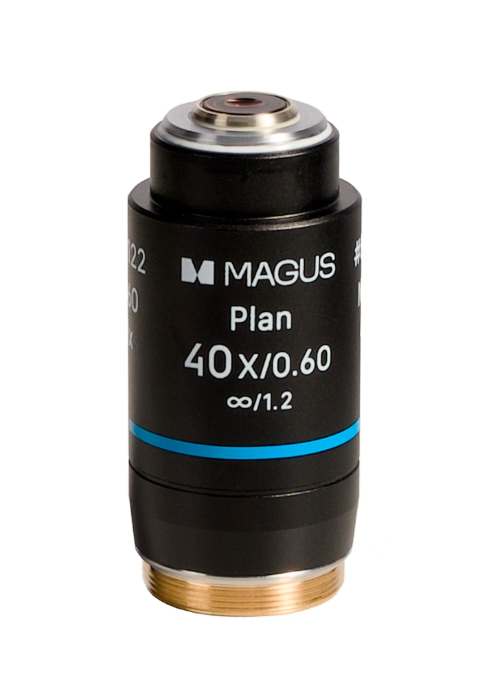 LEV-85122_1.jpg