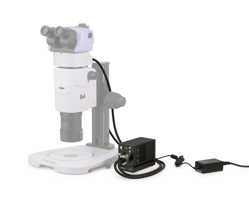 LEV-85127_4.jpg