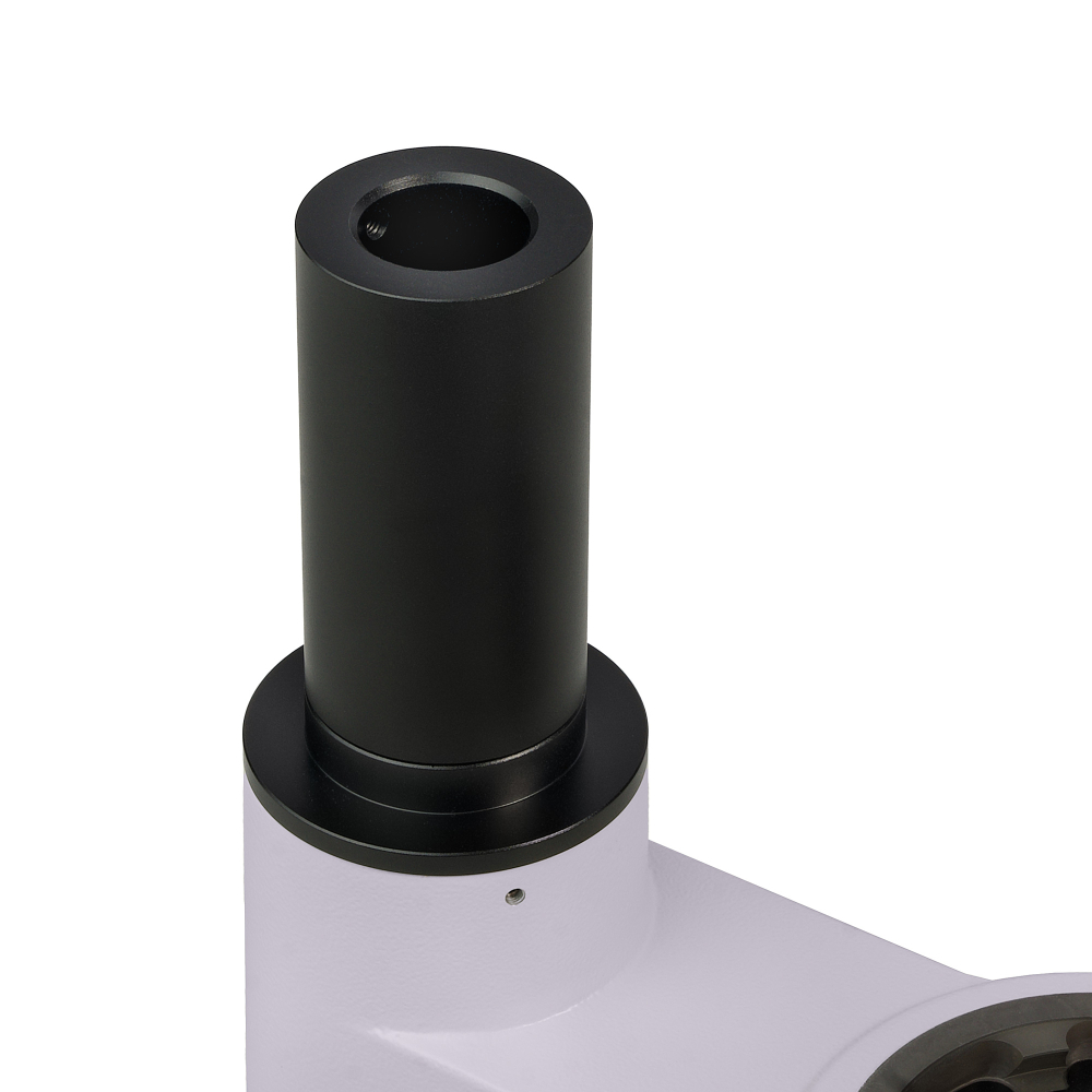 LEV-85142_5.jpg